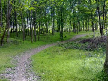 پارک جنگلی جاده نظامی