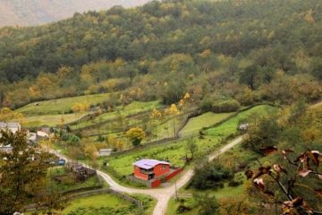 شهرستان سیمرغ