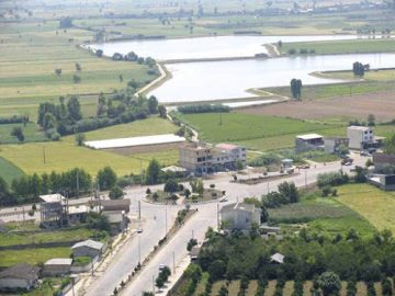 بخش تالار پی سیمرغ 