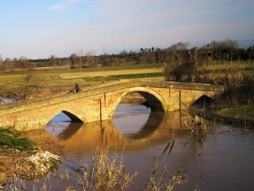 شهرستان جویبار