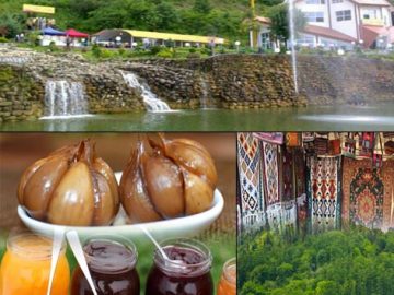 توسعه گردشگری، گردشگری سلامت، تلفیق گردشگری سنتی و دیجیتال