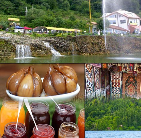 توسعه گردشگری، گردشگری سلامت، تلفیق گردشگری سنتی و دیجیتال