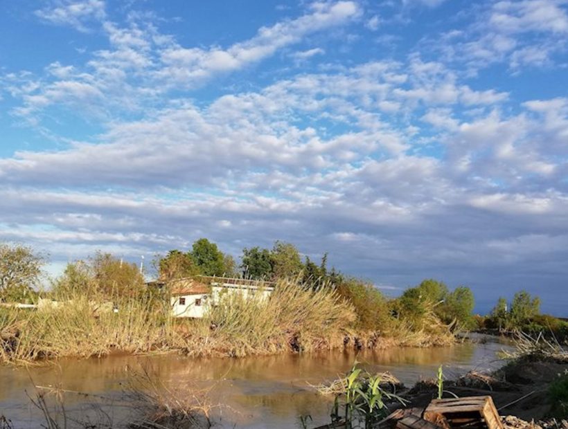 شهرستان سیمرغ